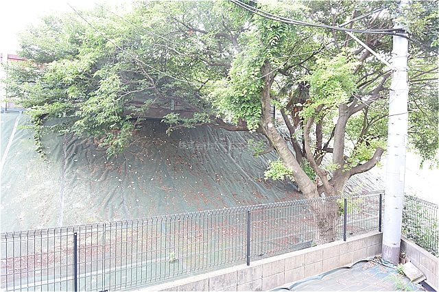 ウインズ湘南本町 眺望